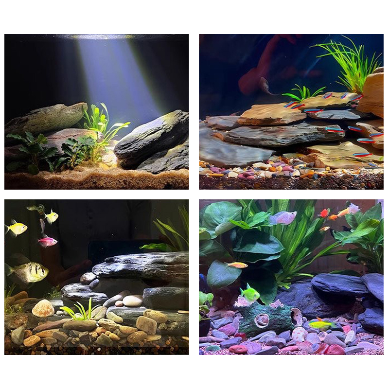 500/1000g Fish Tank Landscape  - Aquarium Marine Tank review and price