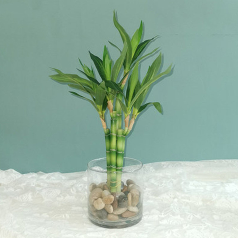 New 40cm Artificial Lucky Bamb - Aquarium Marine Tank review and price