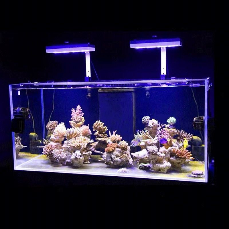 Aqua Illumination AI Hydra 32H - Aquarium Marine Fishes review and price