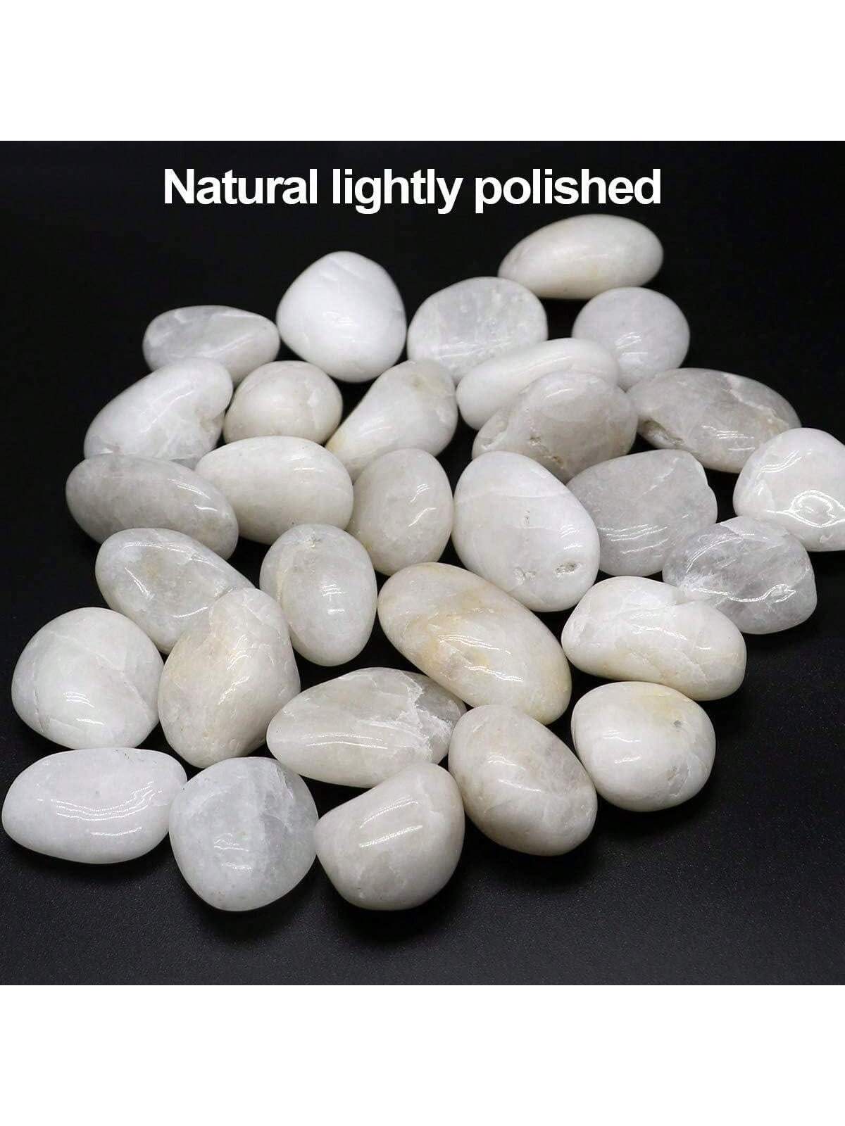 River Rocks Decorative Ornamen - Aquarium Marine Tank review and price
