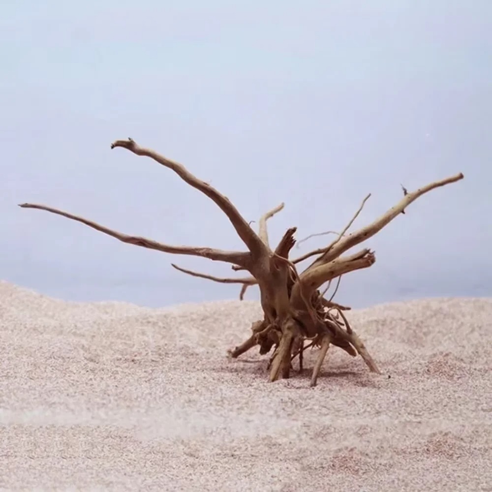 （15-20cm） Natural Driftwood Aq - Aquarium Marine Tank review and price