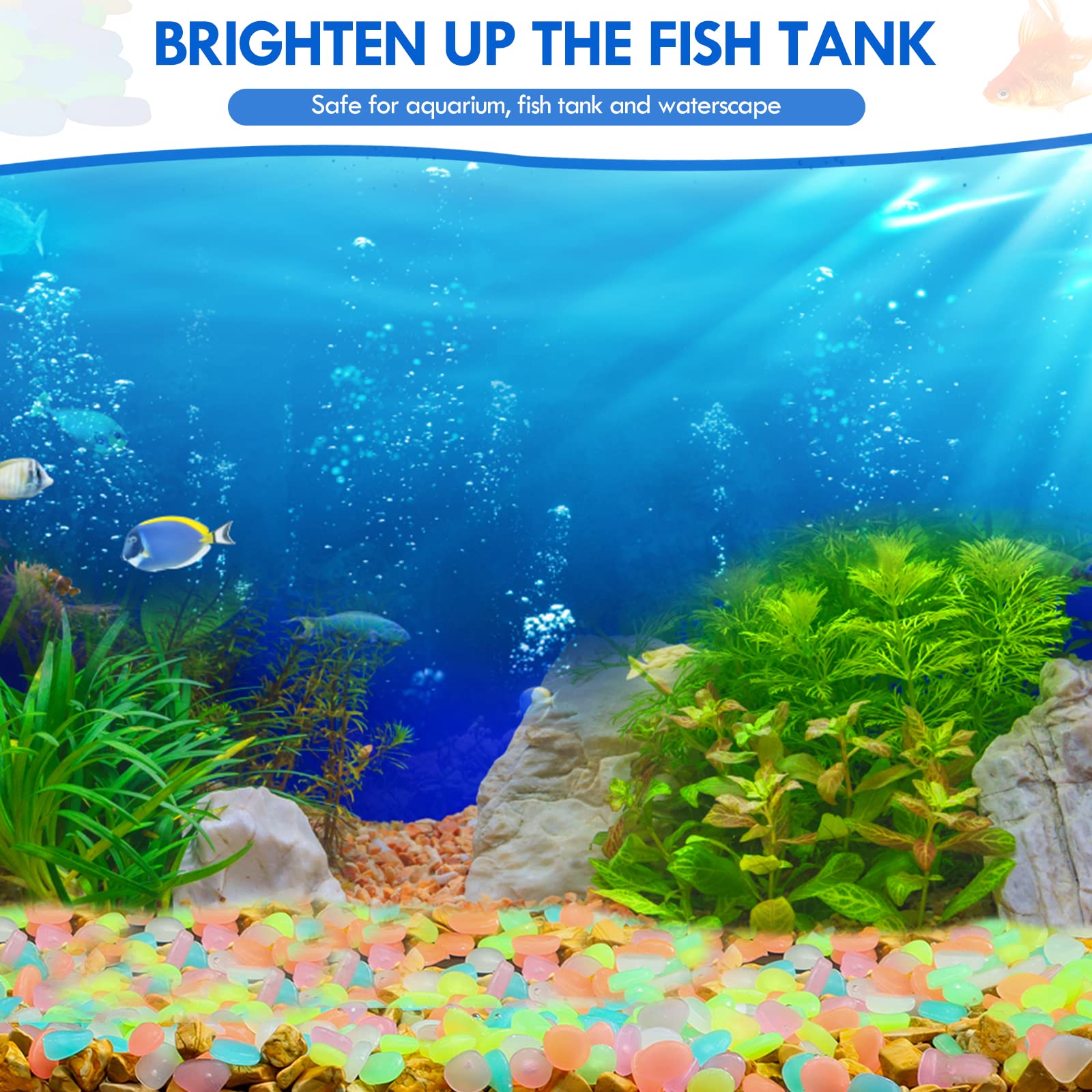 100Pcs Glow in the Dark Garden - Aquarium Marine Tank review and price