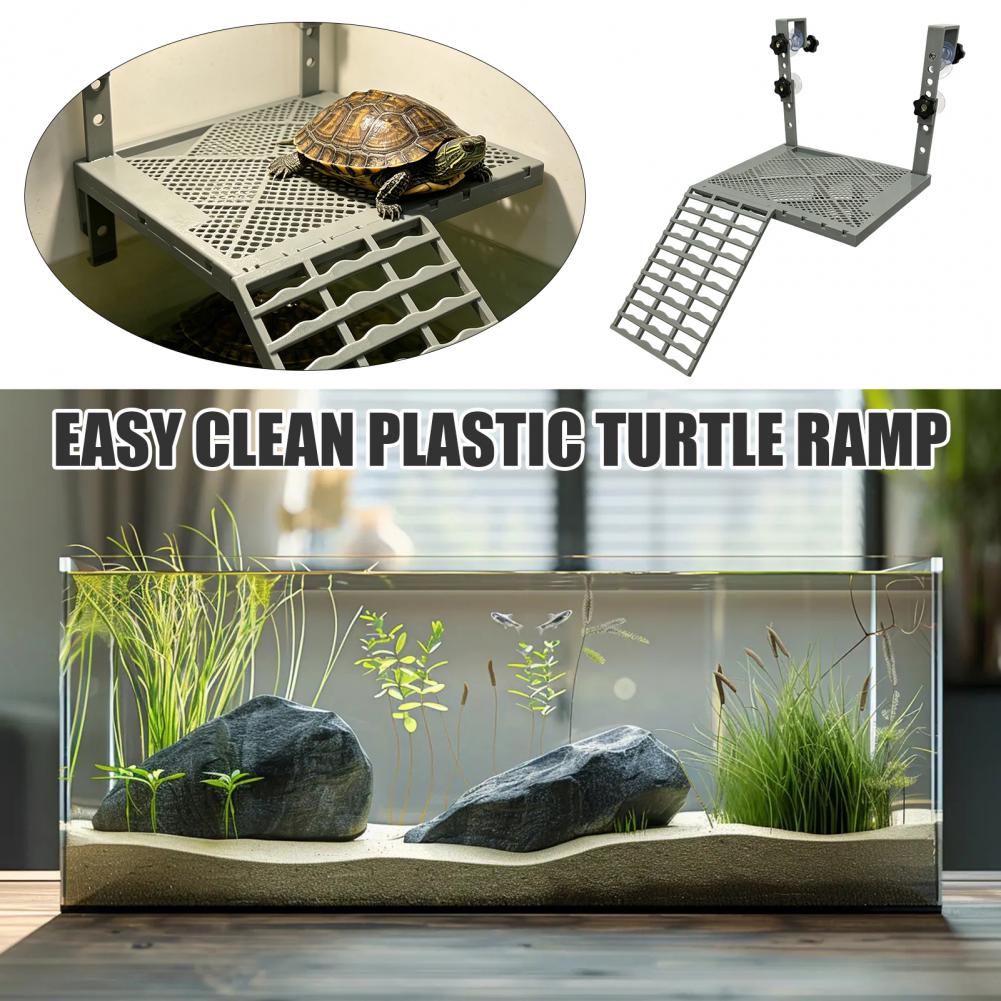 Aquarium Decoration Solid Form - Aquarium Marine Tank review and price