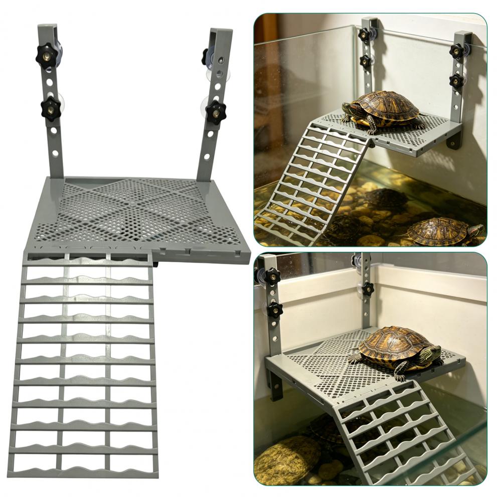 Aquarium Decoration Solid Form - Aquarium Marine Tank review and price