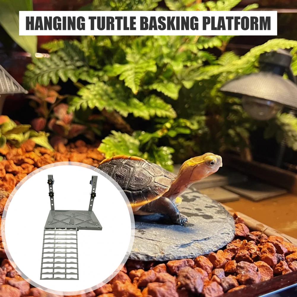 Aquarium Decoration Solid Form - Aquarium Marine Tank review and price