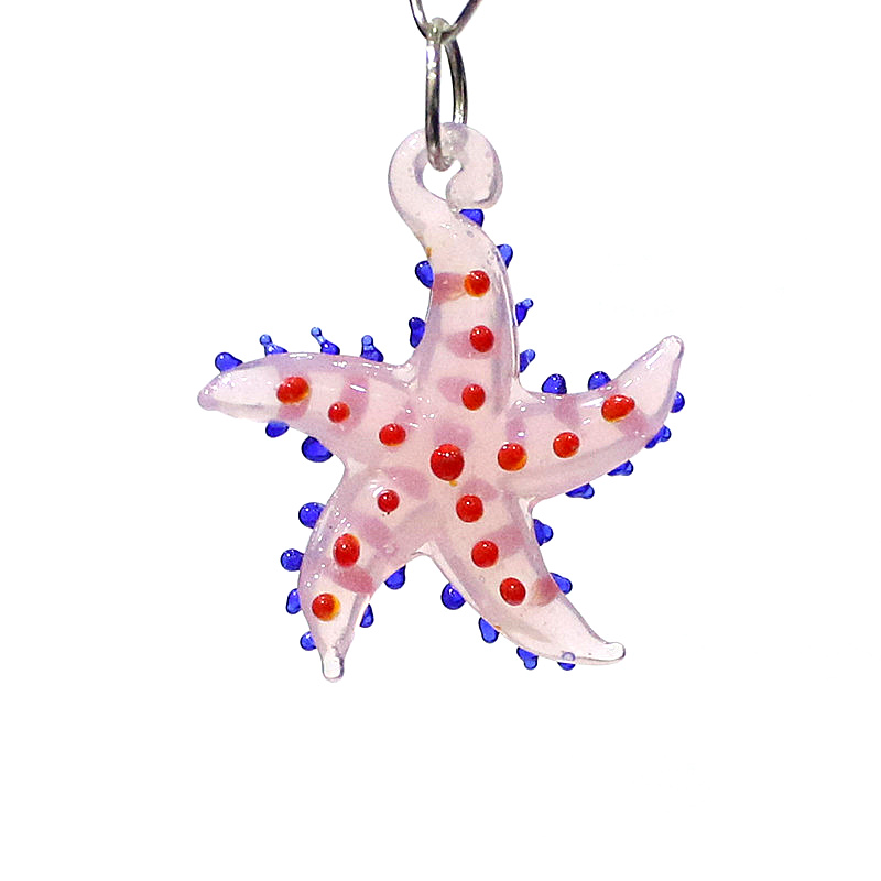 Cute Marine Animal Starfish Ch - Marine Aquarium & Regional Centre Photos review and price