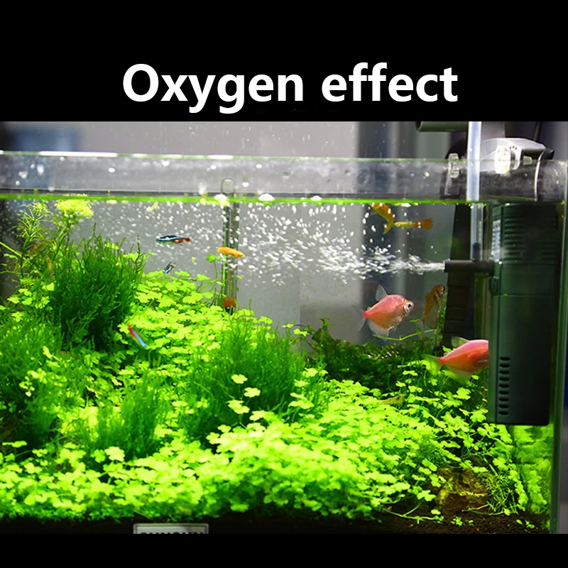 SUNSUN mini nano 111B 311B 611 - Aquarium Blue Marine Reef 60 review and price